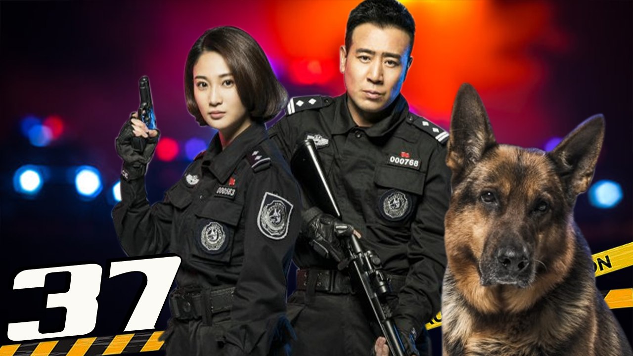 HOA KHÔI VÀ CẢNH KHUYỂN - Tập 37 (Lồng Tiếng) | Phim Hành Động Cảnh Sát Hình Sự Hay Nhất