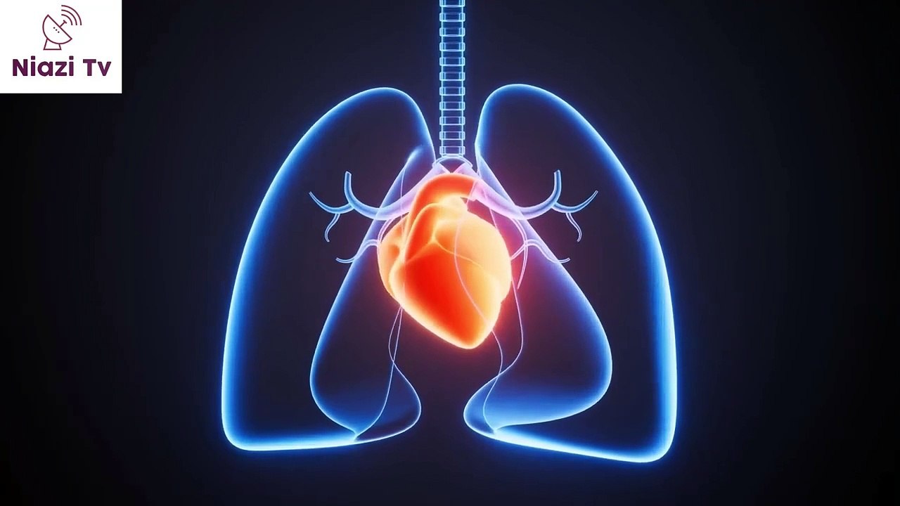 Why Does Smog Hit Lahore Hardest in October & November_