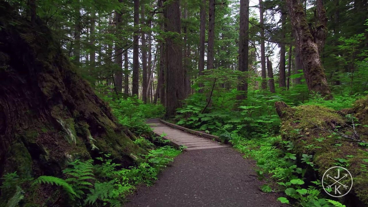 Alaska in 8K 60p HDR  (Dolby Vision) | DB MEDIA