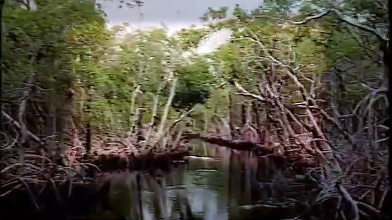 LE TUEUR EN SÉRIE GERARD JOHN SCHAEFER (DOCUMENTAIRE CRIMINEL)