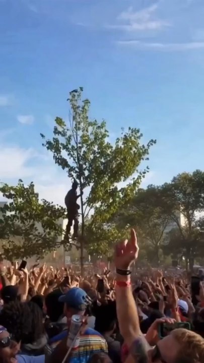 Quand Travis Scott faisait ce classique dans un arbre 😂🌳