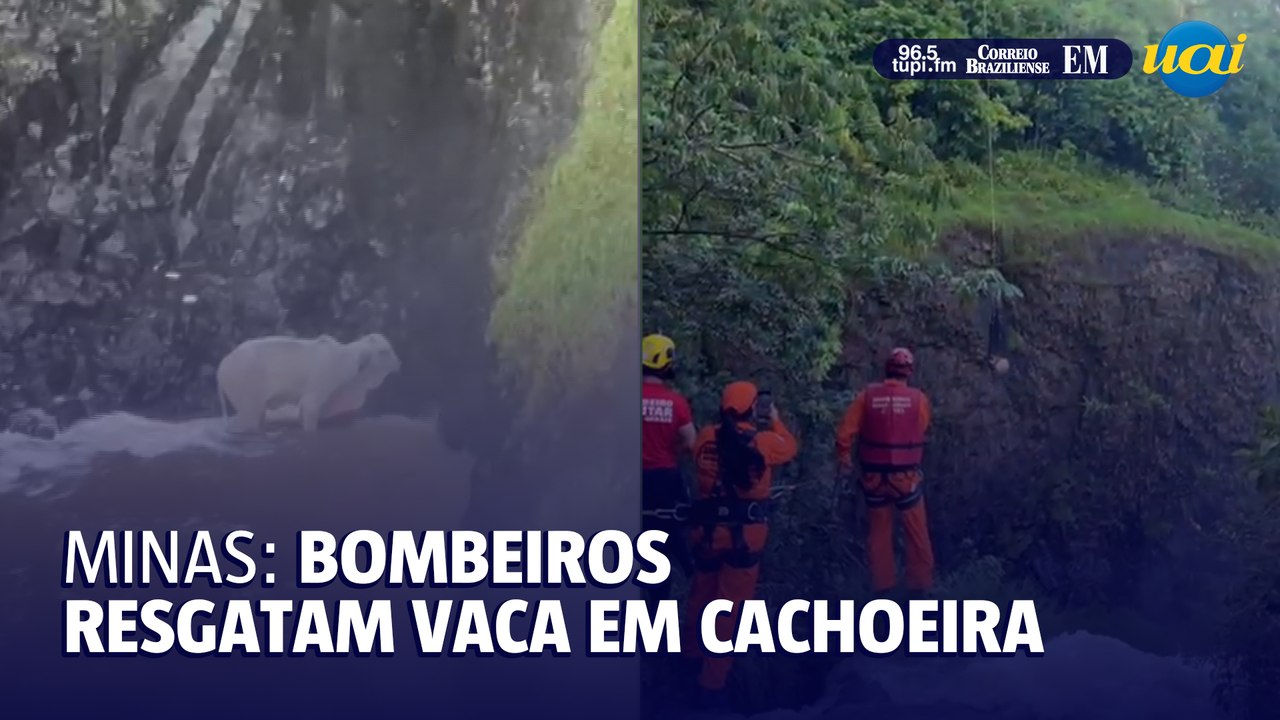 Bombeiros em helicóptero resgatam vaca em cachoeira do interior de Minas