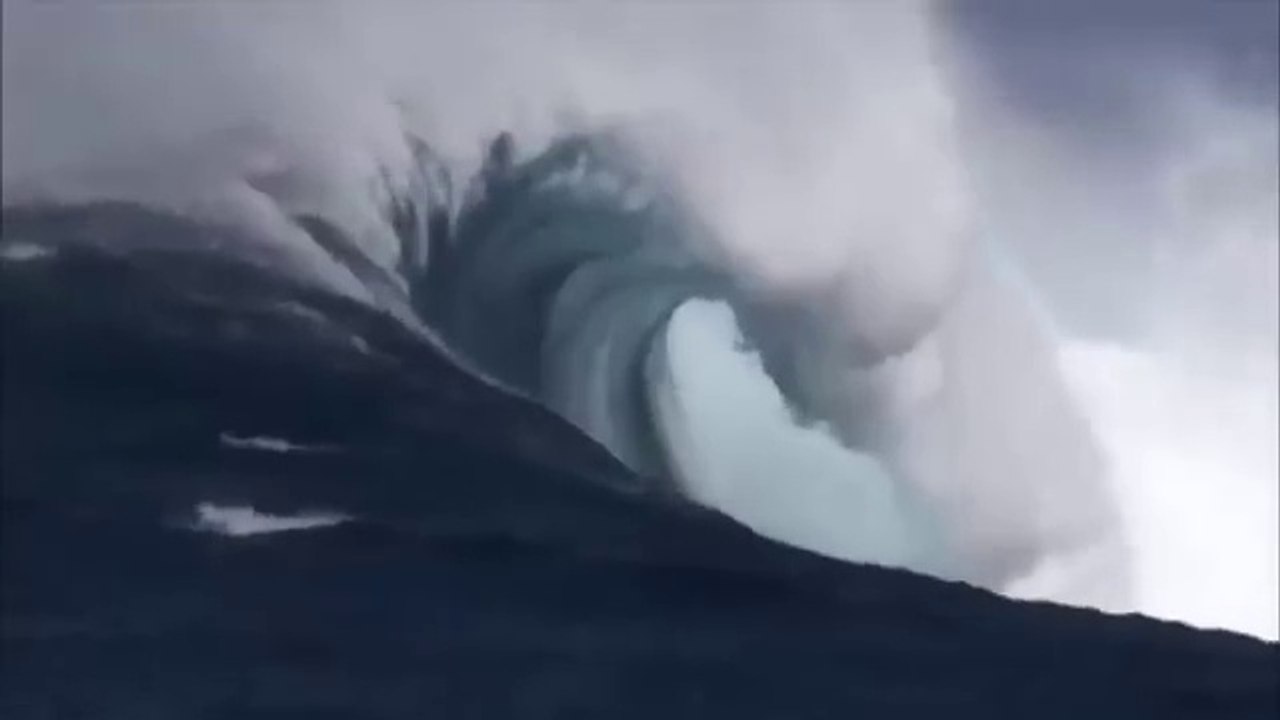 Ocean Life Documentary Unveiling the Mysteries Beneath the Waves