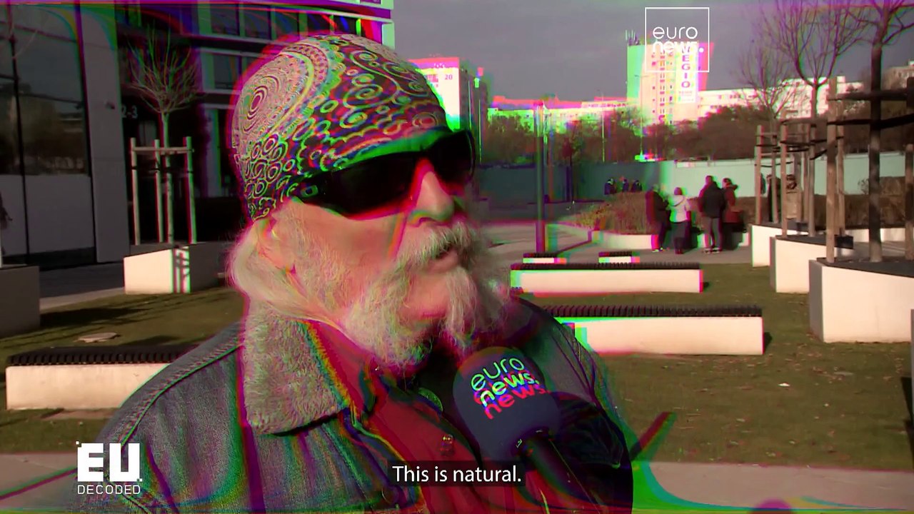 EU DECODED: Deforestation law’s trade-offs under negotiation