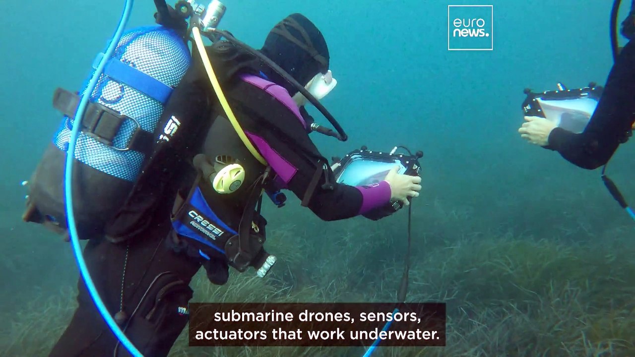‘Internet of Underwater Things’: Meet the woman behind wireless networks at 3,000 metres deep