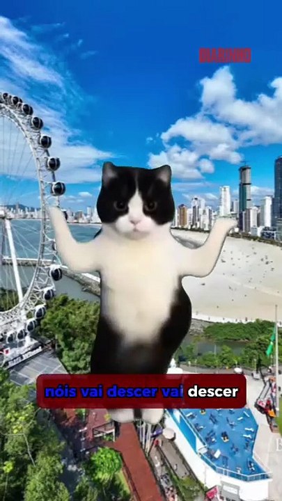 DIARINHO entrou pra trend do “Descer pra BC”