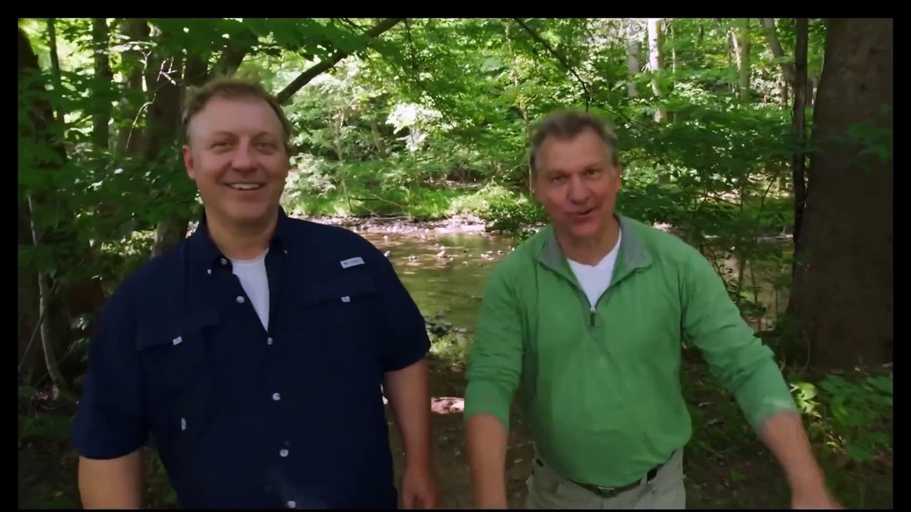 Wild Kratts Salamander Streaming | Full Episode