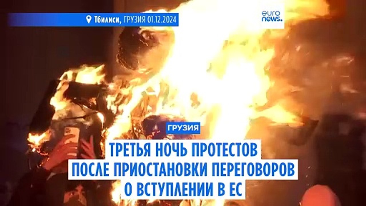 Протесты по всей Грузии продолжились третью ночь после приостановки переговоров о вступлении в ЕС