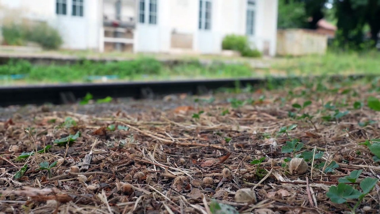 Test du Sony ZV-E10 II : l'autofocus (partie 2)