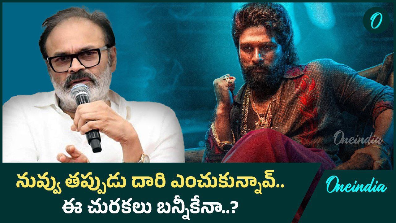 Nagababu Comments.. Pushpa 2 పైనా లేక Allu Arjun పైనా..? | Oneindia Telugu
