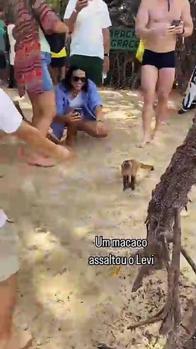 Macaco pula nas costas de criança para 'roubar' comida