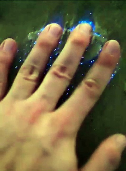 Our planet is so beautiful! Bioluminescent beach. Video Dailymotion