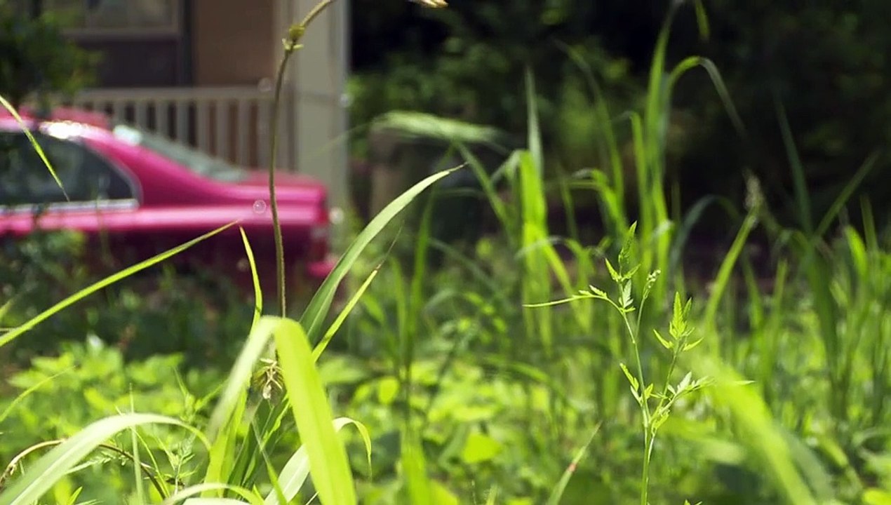 After the First 48 S10E04 Murder on Maiden Lane