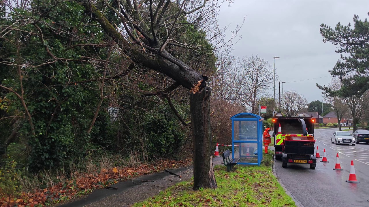 Thick tree snaps at trunk in Worthing during Storm Darragh