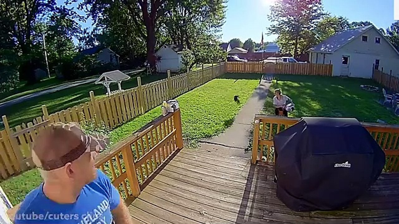 Mark Rober  | Can A Crow Solve 9 Impossible Puzzles | Mark Rober New challenge