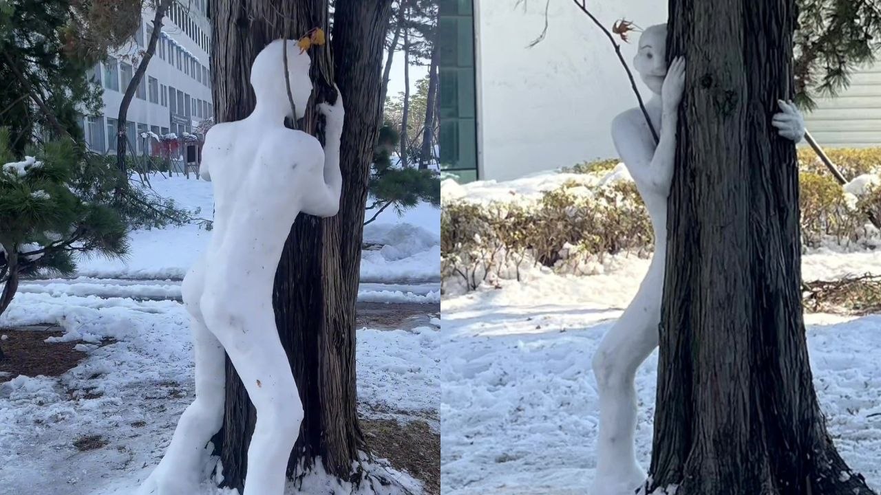 Check out this strange snowman - stood on two legs and peering round a tree