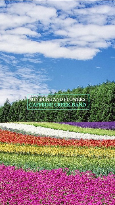 ✅💘Música instrumental relaxante para estudar concentração memorização- Fragmentos $16