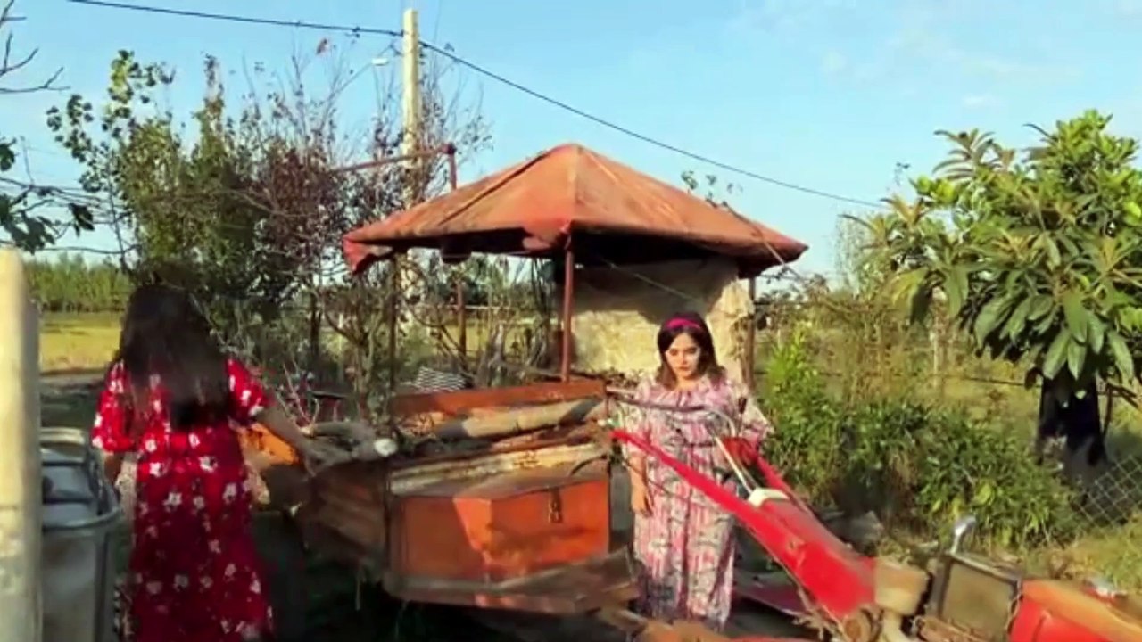 Characteristics of an authentic Bedouin