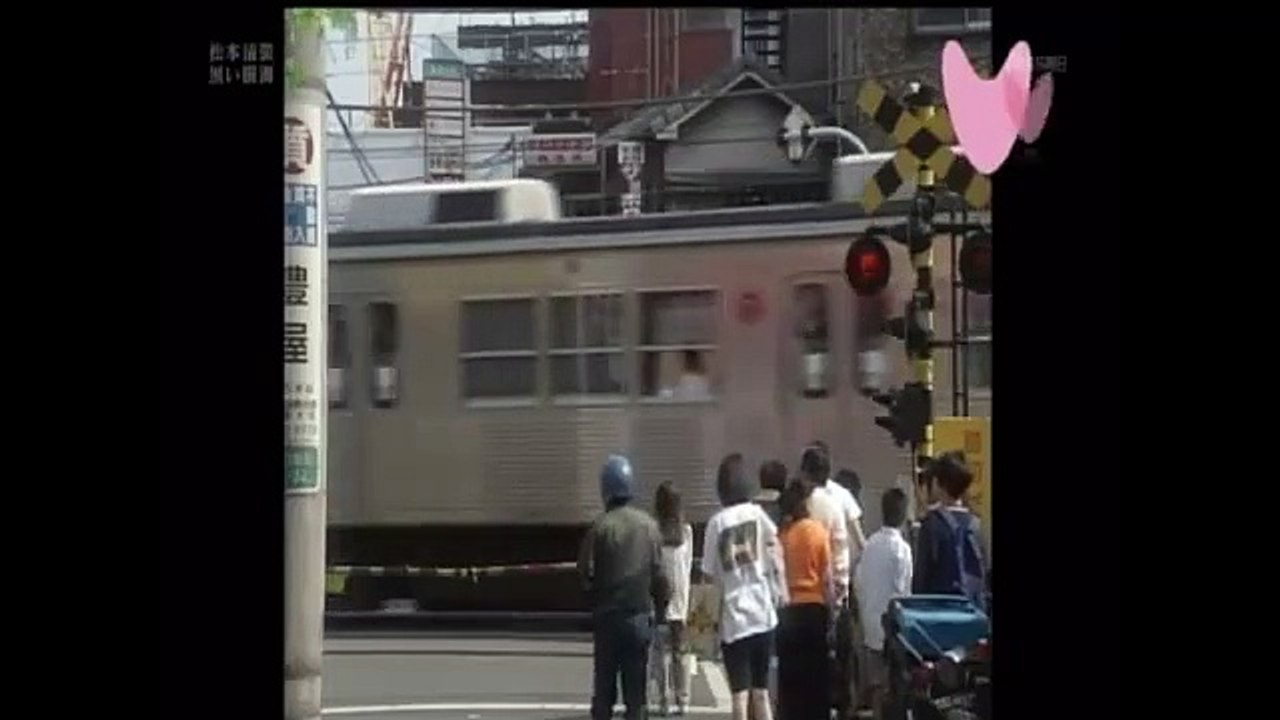 1997年松本清張ドラマ黒い樹海