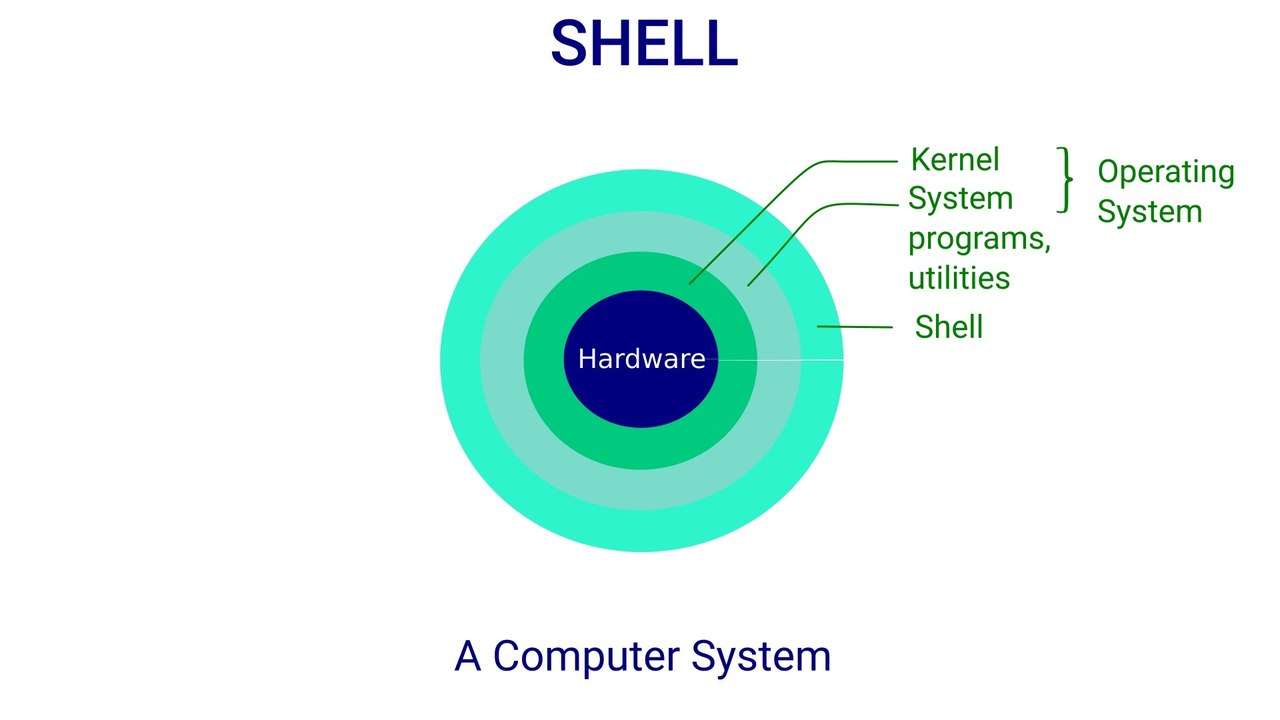 An introduction to shell in Linux