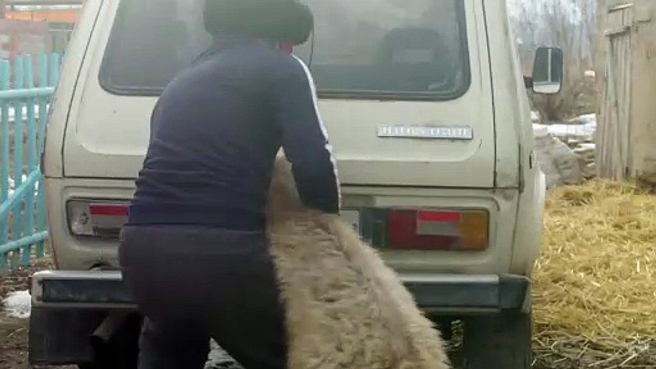 Territory - Tráiler VOSE