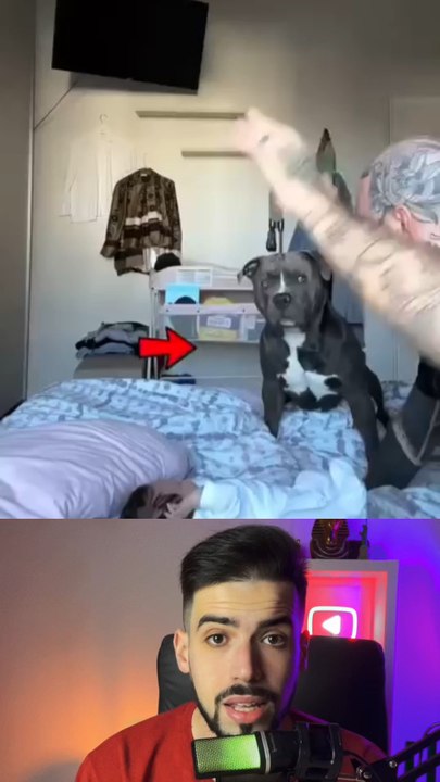 Il a fait semblant de faire ca