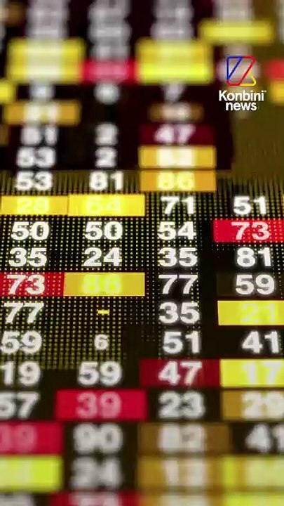 REDIFF | Sapin naturel VS sapin artificiel : qui est le plus écolo ?