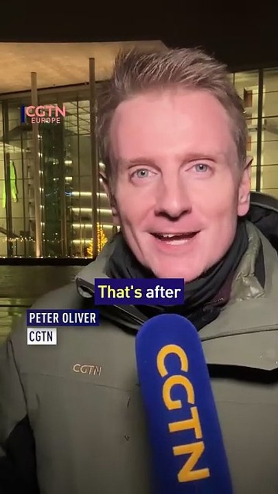 Scholz confidence vote defeat: What happens next?