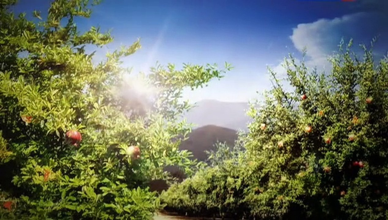 Vkus granata 13 seriya.