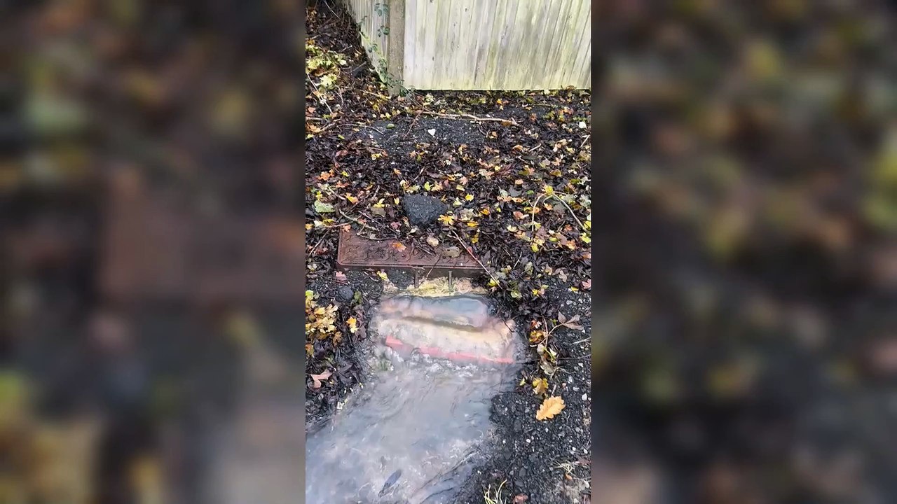 Grafty Green farm sewage spillage