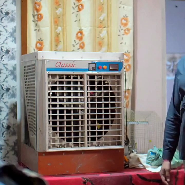 South Movie #viral #movie #trending #south #movie