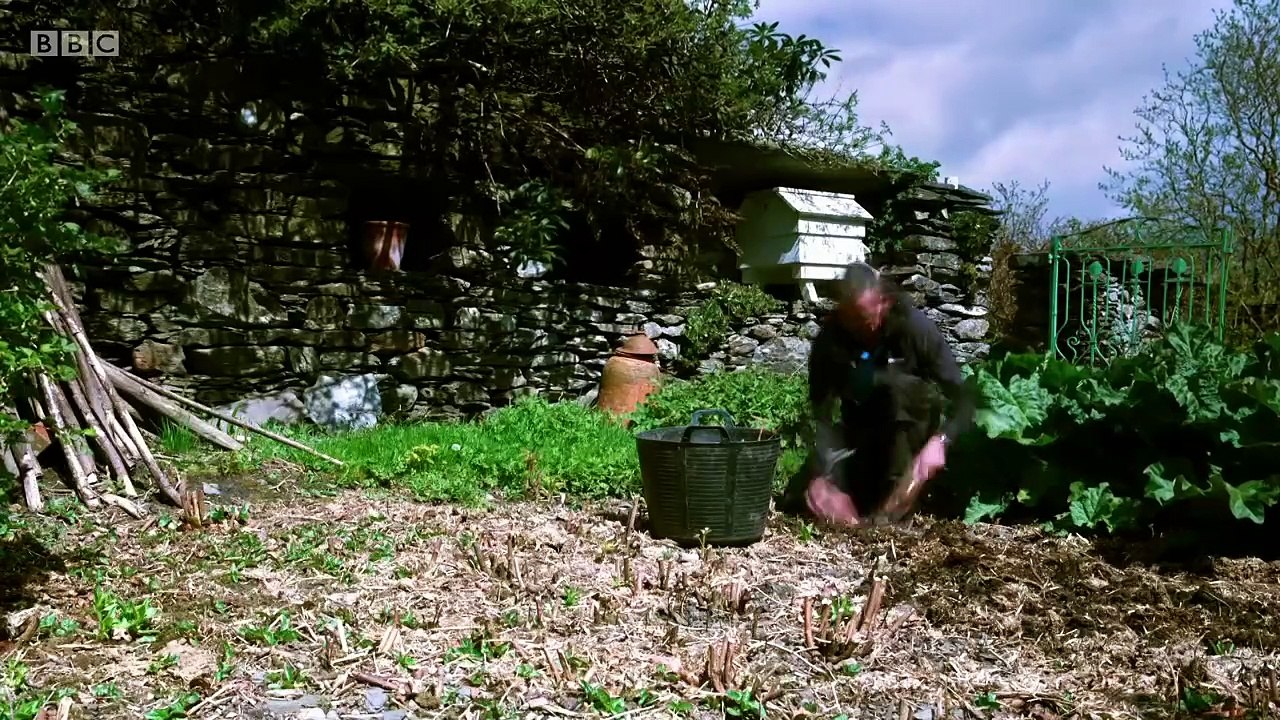 The Lake District: A Wild Year