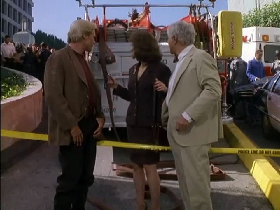 Diagnosis Murder S03e04 Murder In The Courthouse