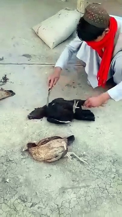 Yeh Kya Hai? Kya Yeh Mumkin Hai? 🤔