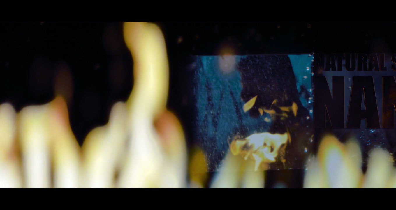 The Paradise | Movie | 2026 | Official Teaser