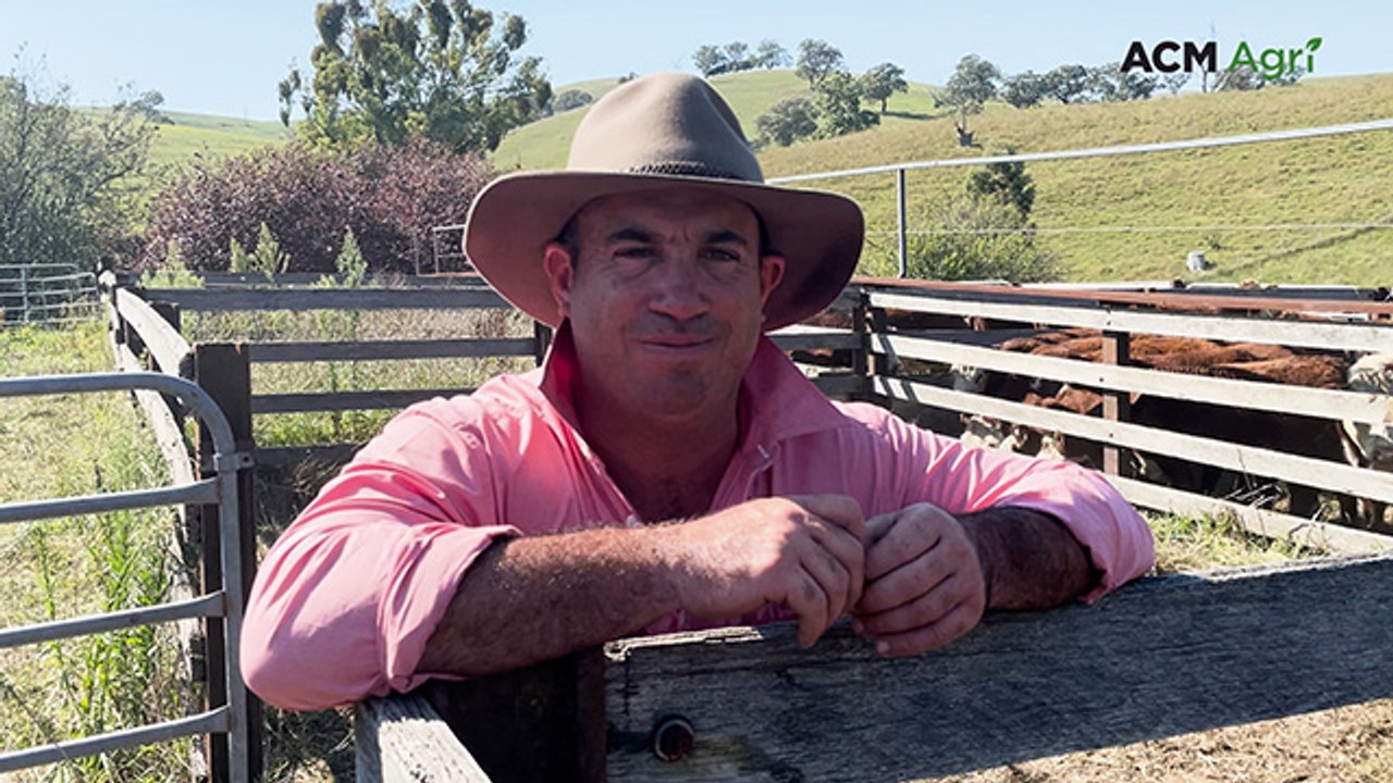 Herefords sizzle at Ensay as just 10 vendors sell calves for more than $1.4 million