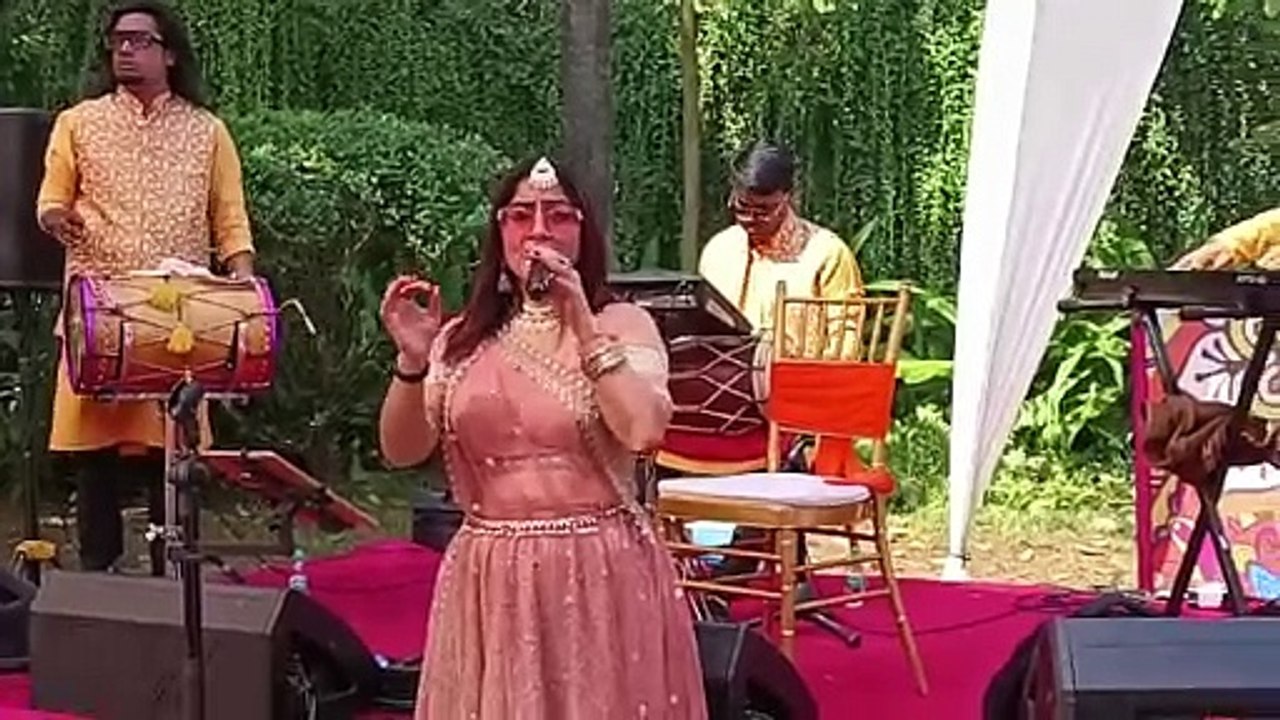 Singes, Live Music Band, Orchestra, Musical Group