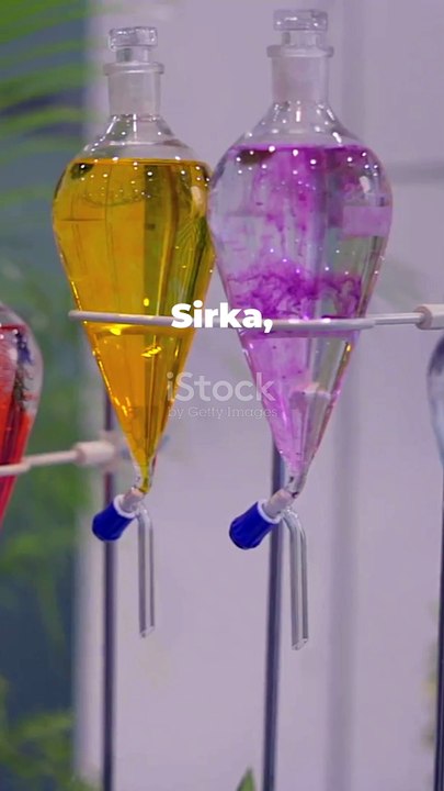 रोमांचक प्रयोग_ देखिए क्या होता है!