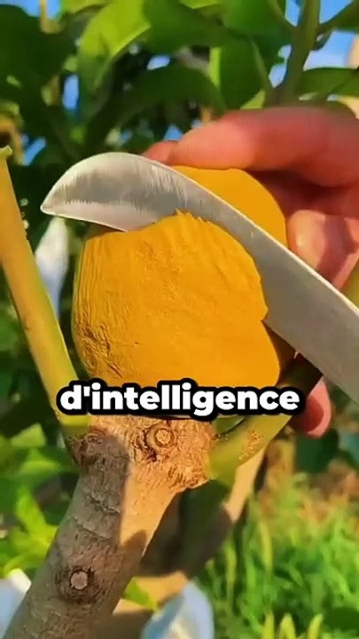 Event Scheduled for December 25, 2024 🎉