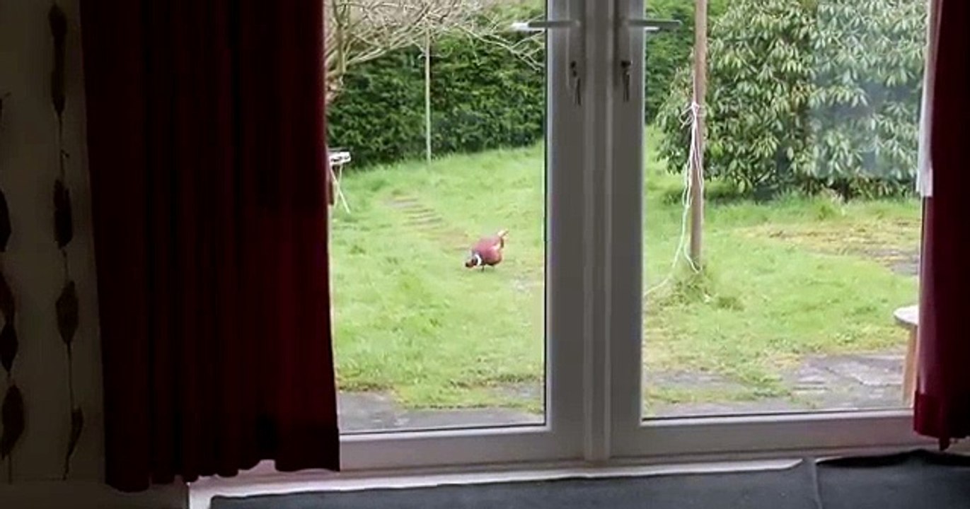 House of Dead" | Full Horror Movie#HouseofDead #FullHorrorMovie #HorrorFilm #HorrorMovies #Thriller