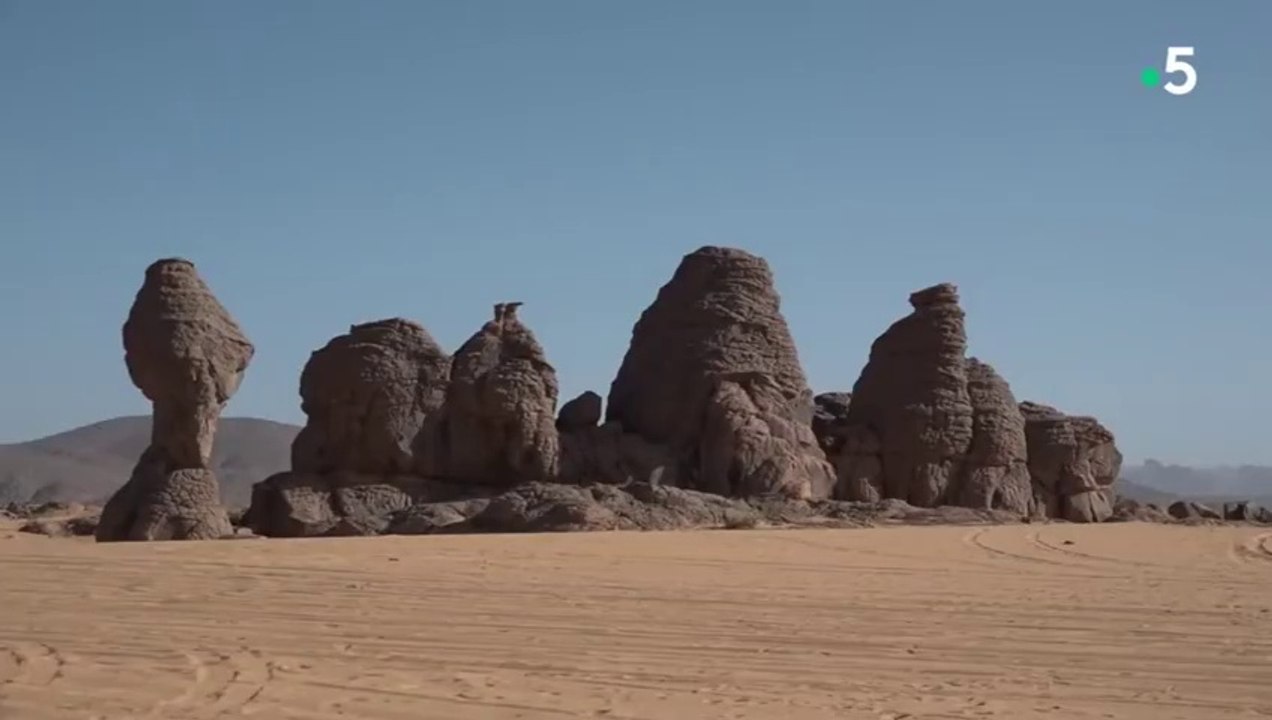 Algérie, Grande bleue Grand Sud Documentaire