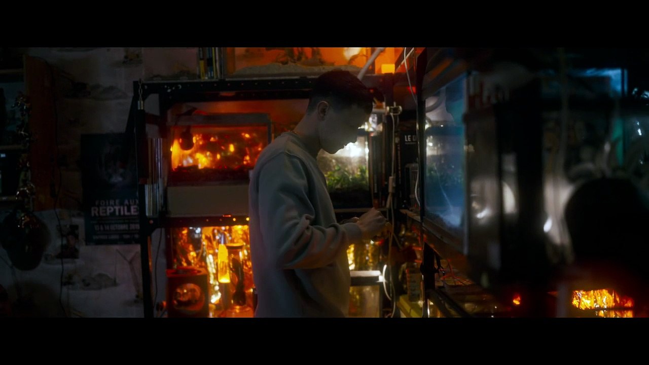 Action Thriller Full Movie HD (2025)