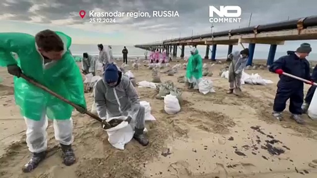 NO COMMENT: Más de mil aves salvadas de la contaminación en el mar Negro