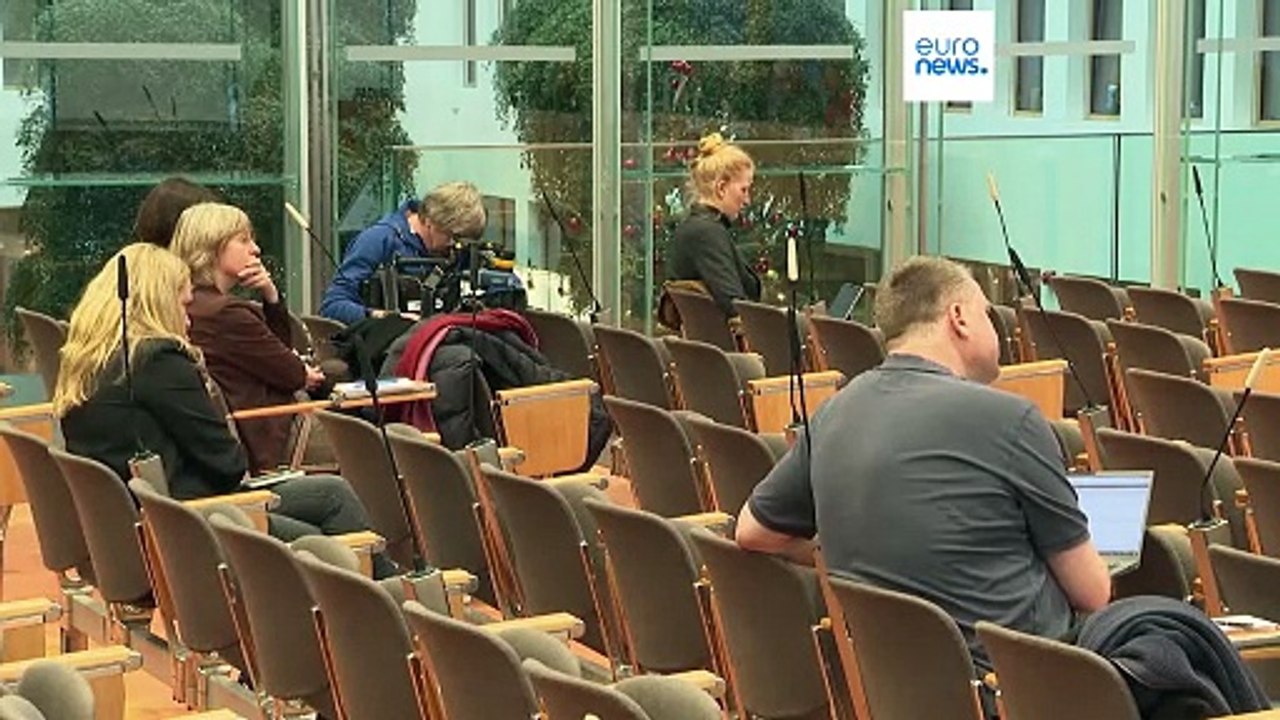 Leading German politicians compare Elon Musk to Vladimir Putin over AfD endorsement