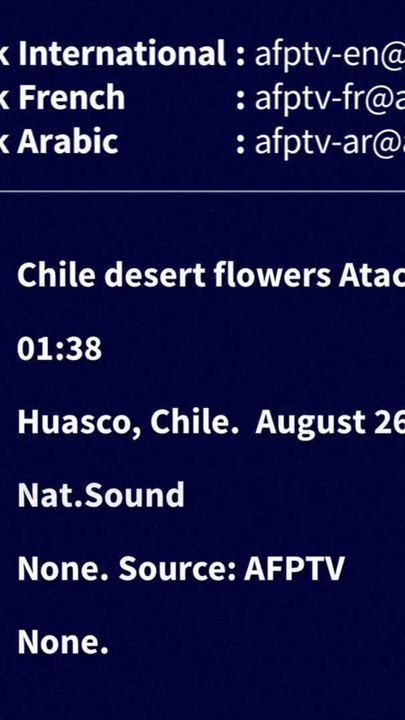 CURATION - désert fleuri d'Atacama