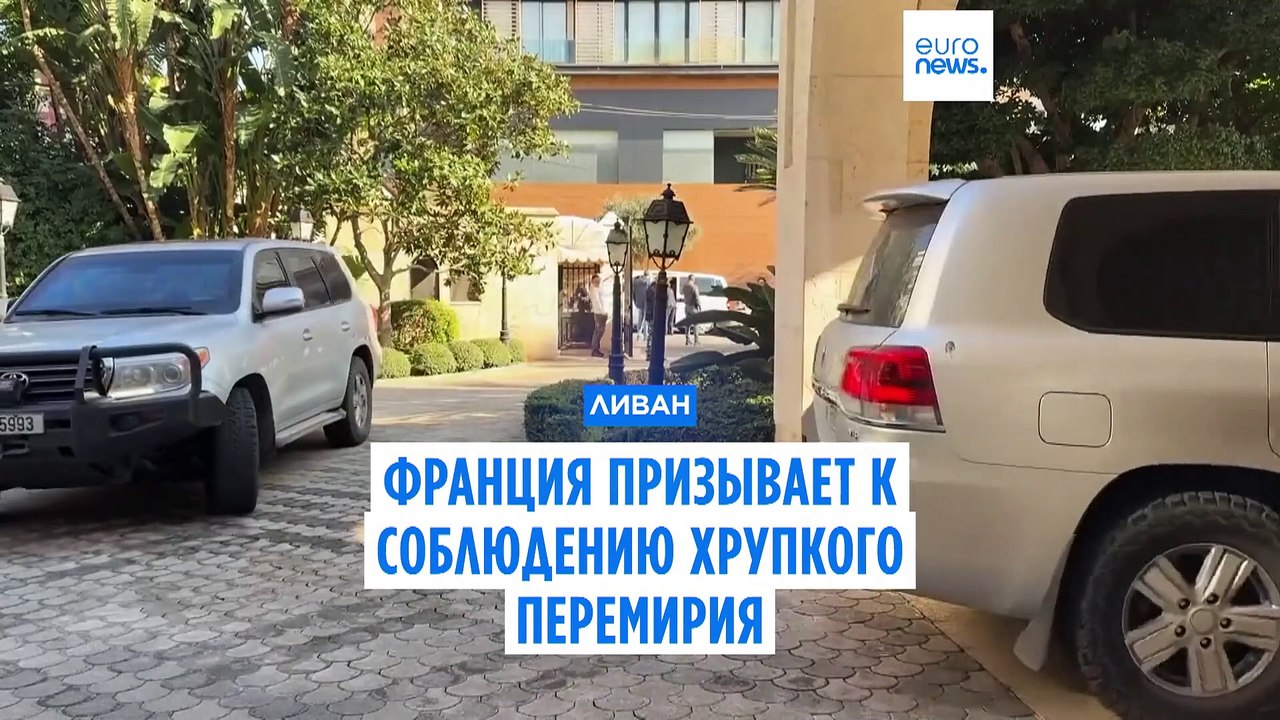Ливан-Франция: Берри и Барро обсудили соблюдение хрупкого перемирия между Израилем и "Хезболлах"