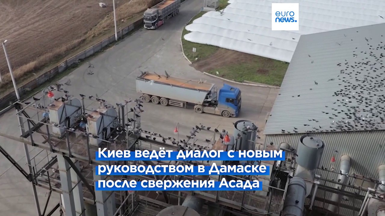 Украина восстановит дипотношения с Сирией и будет поставлять ей зерно (Зеленский)