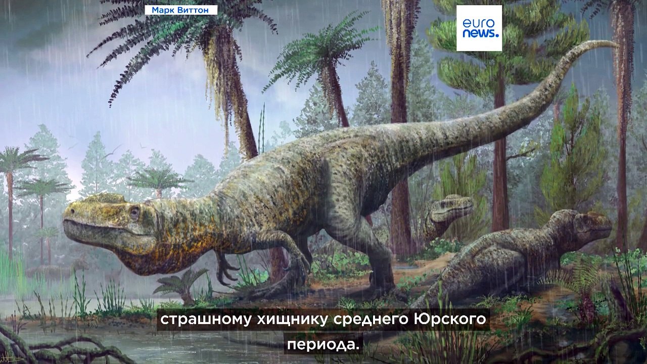 Они здесь были: в Оксфордшире нашли 200 следов динозавров