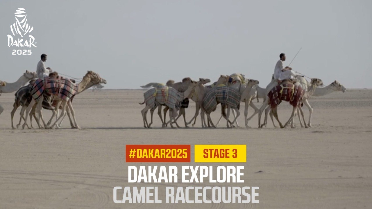 Dakar Explore: Camel racecourse - #Dakar2025