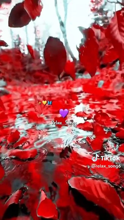 Discover the Hottest Songs of 2024 🎶